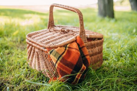 Close-up view of wicker picnic basket with plaid on green grass in park